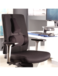 Respaldo Lumbar Ultimate Professional Series 2