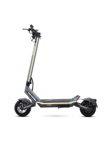 Patinete eléctrico smartGyro Raptor Evo