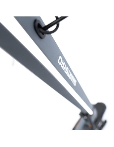 Patinete eléctrico smartGyro Raptor Evo