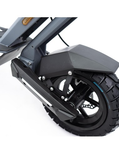 Patinete eléctrico smartGyro Raptor Evo LR