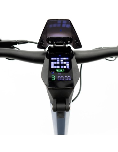 Patinete eléctrico smartGyro Raptor Dual Evo LR