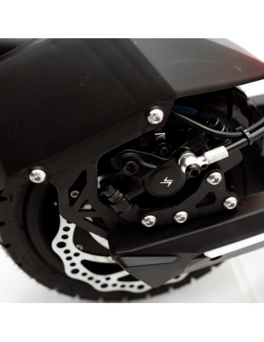 Patinete eléctrico smartGyro Raptor Dual Evo LR