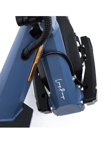 Patinete eléctrico smartGyro Raptor Dual Evo LR