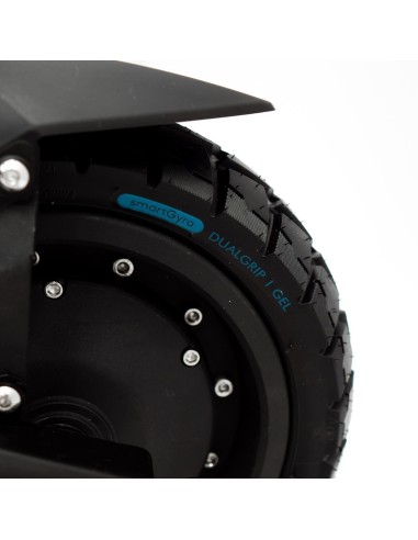 Patinete eléctrico smartGyro Raptor Dual Evo