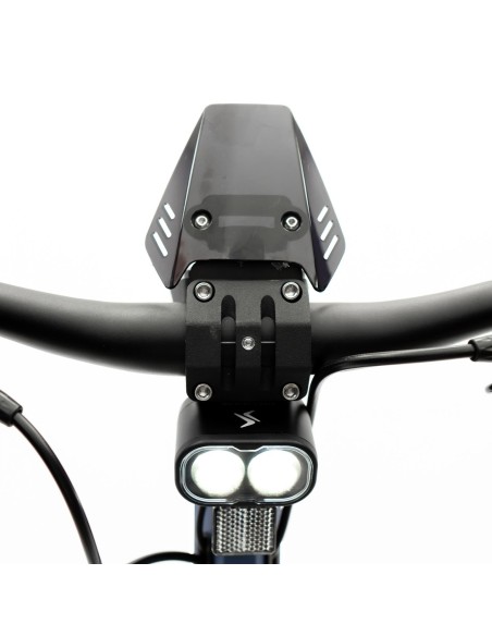 Patinete eléctrico smartGyro Raptor Dual Evo