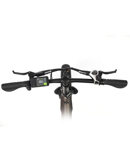 BICICLETA ELÉCTRICA SMARTGYRO EBIKE RHINO