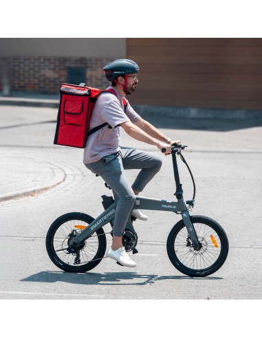 BICICLETA ELÉCTRICA EBIKE SMARTGYRO NIMBUS
