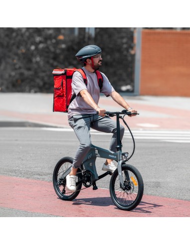 BICICLETA ELÉCTRICA EBIKE SMARTGYRO NIMBUS