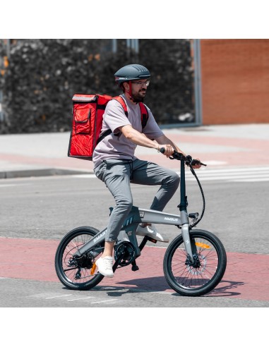 BICICLETA ELÉCTRICA EBIKE SMARTGYRO NIMBUS