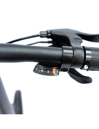 BICICLETA ELÉCTRICA EBIKE SMARTGYRO NIMBUS